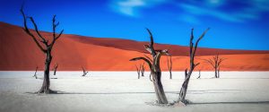 Africa
