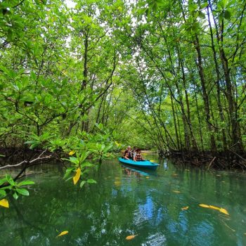 Canoing