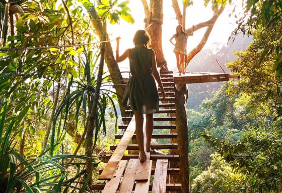 Lady walks across tree canopy walkway